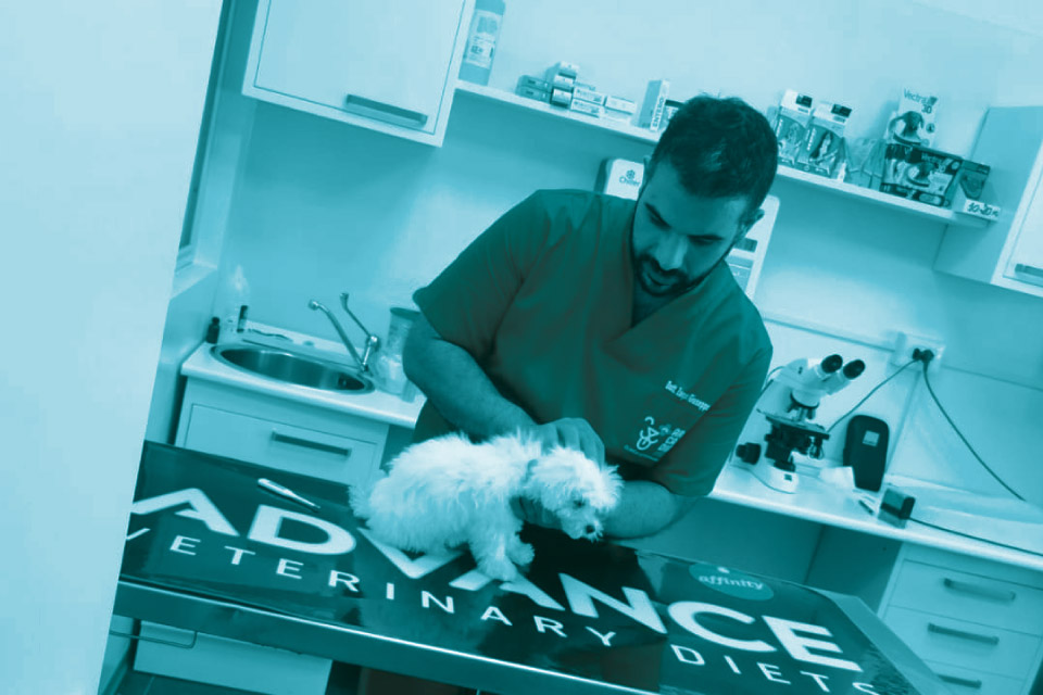 Visite Arcadiavet Veterinario A Catanzaro